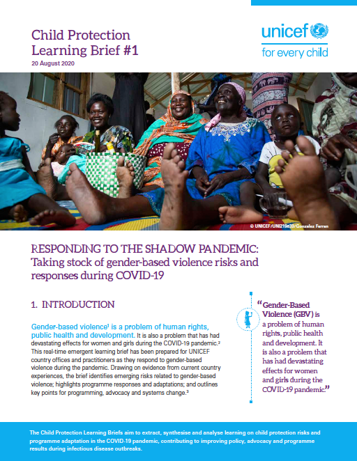 Responding to the Shadow Pandemic- Taking stock of gender-based violence risks and responses during COVID-19